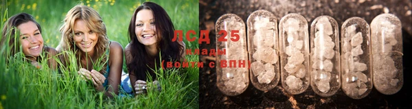 дживик Арсеньев