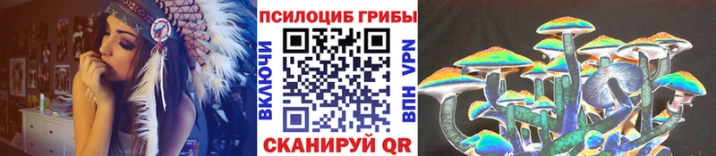 Купить где Карталы Псилоцибиновые грибы GOLDEN TEACHER